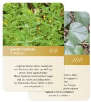 Seelenbotschaft Ergänzungskarten 99+100