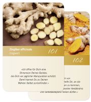 Seelenbotschaft Ergänzungskarten 101+102