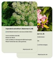 Energetische Spagyrik - Pflanzenkarten - Ergänzung 103 + 104