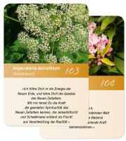 Seelenbotschaft Ergänzungskarten 103+104