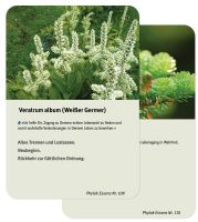 Energetische Spagyrik - Pflanzenkarten - Ergänzung 109 + 110