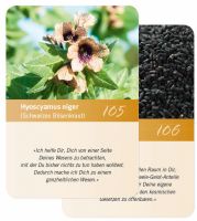 Seelenbotschaft Ergänzungskarten 105+106